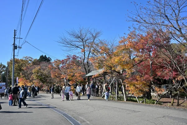 momijien20251116-6779