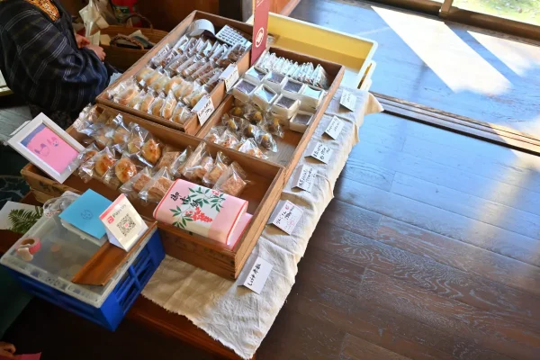 momijien20251116-6842